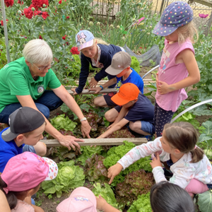 Projekt „Landfrauen machen Schule“