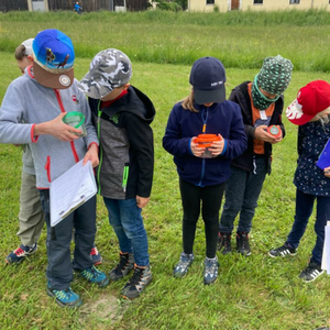 Auf der Wiese ist was los! - Ausflug der ersten Klassen